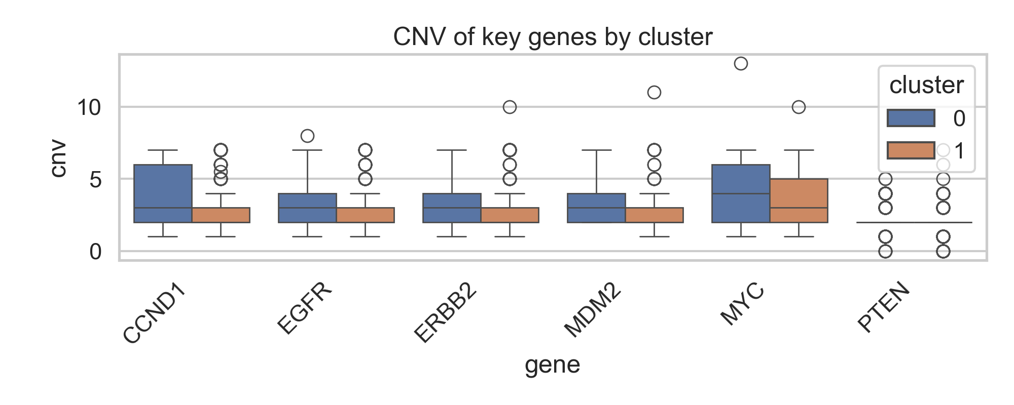 CNV key genes